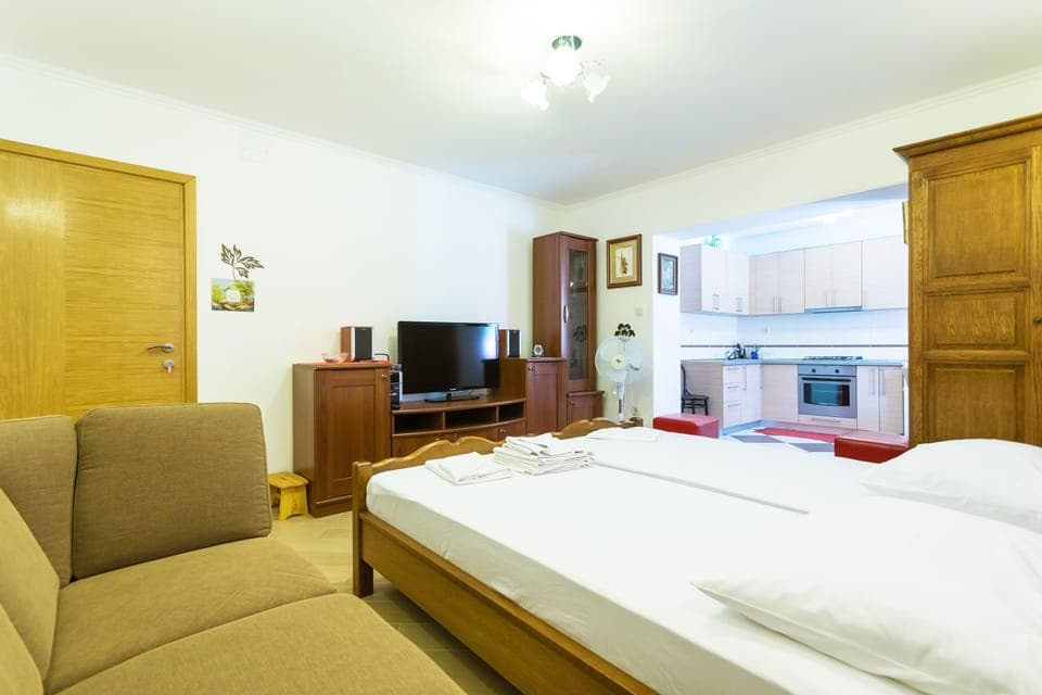 Big studio apartment