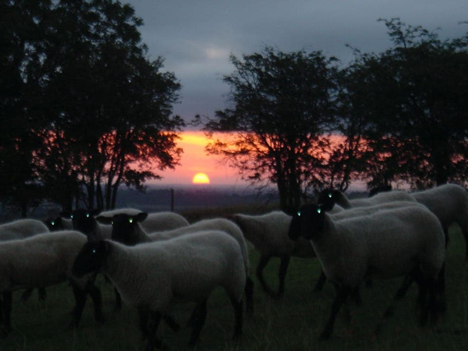 Sun Rise on Top of Bredon Hill, Lovely Walk