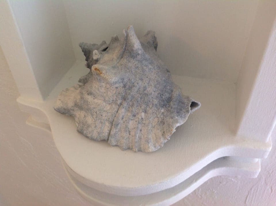 Listen to the ocean from your shell phone