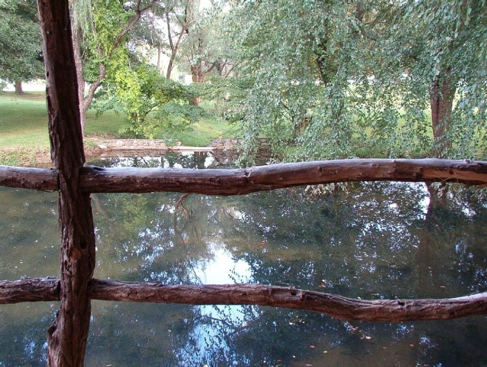 View of small pond from lower level deck