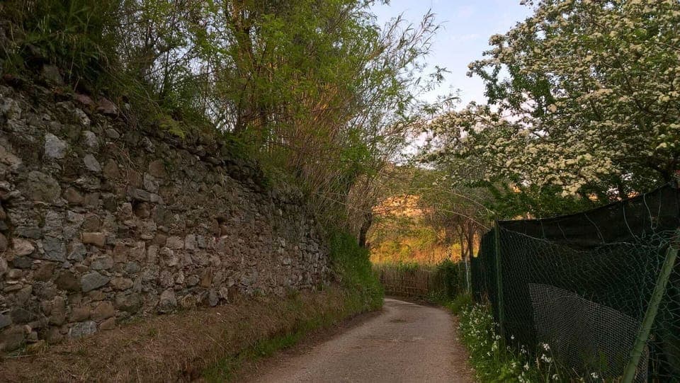 a path to reach the seaside