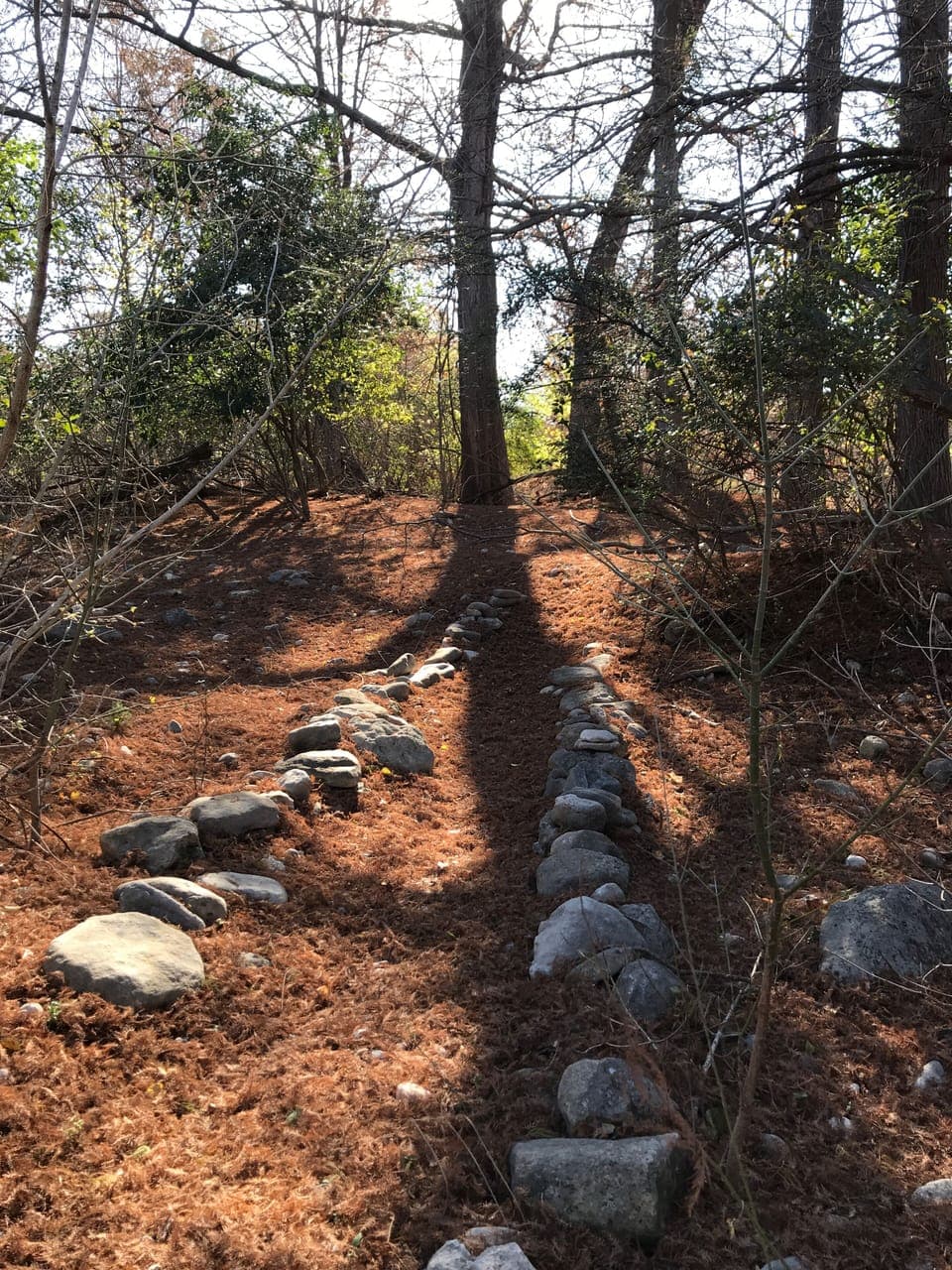 Path through river bottom to river front 