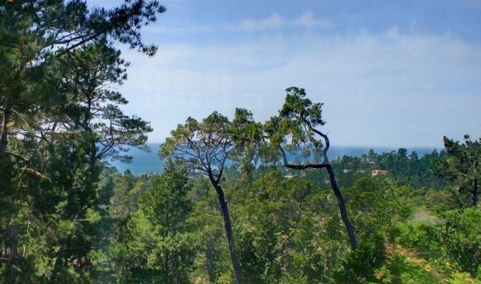 Ocean views from living & dining room, master bedroom & decks.