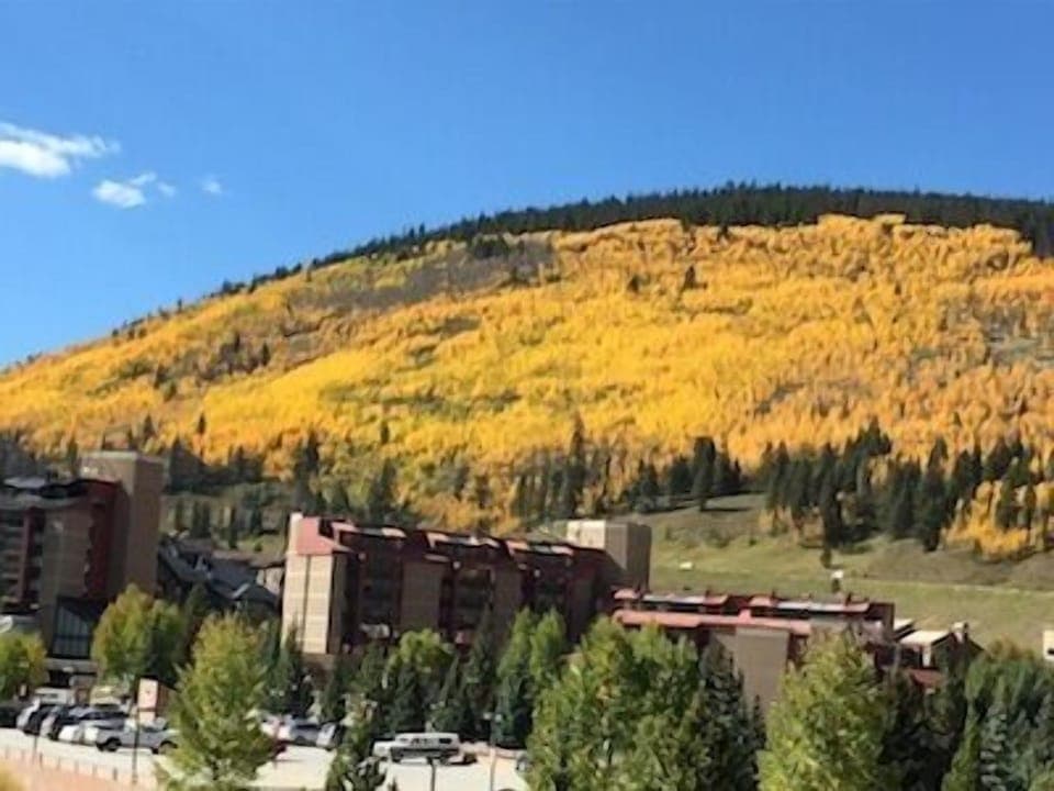 View from front door during the fall leave change