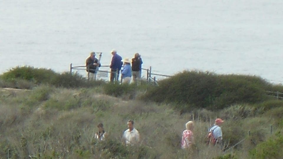 Beautiful beach trail to leads to the harbor.  Wow what a view !
