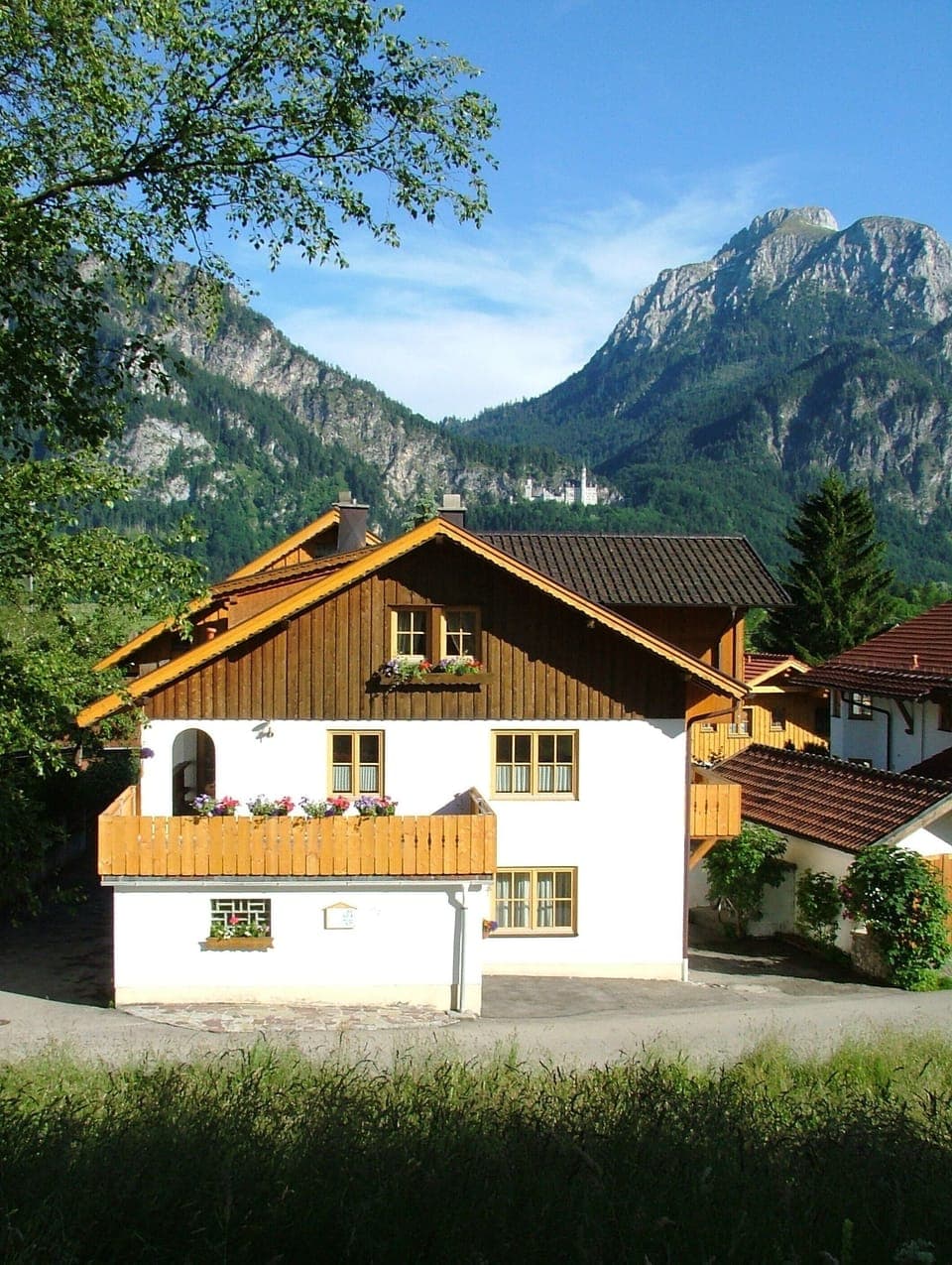House intent with a view to Neuschwanstein castle and mountain 'Säuling'