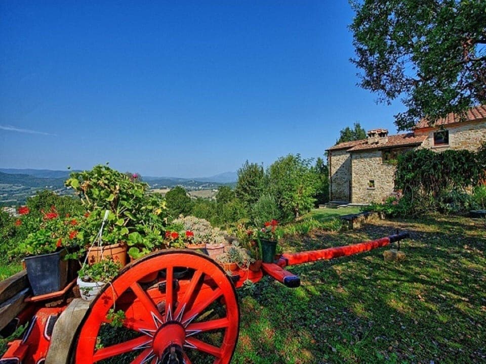 Summer in Montemiliano