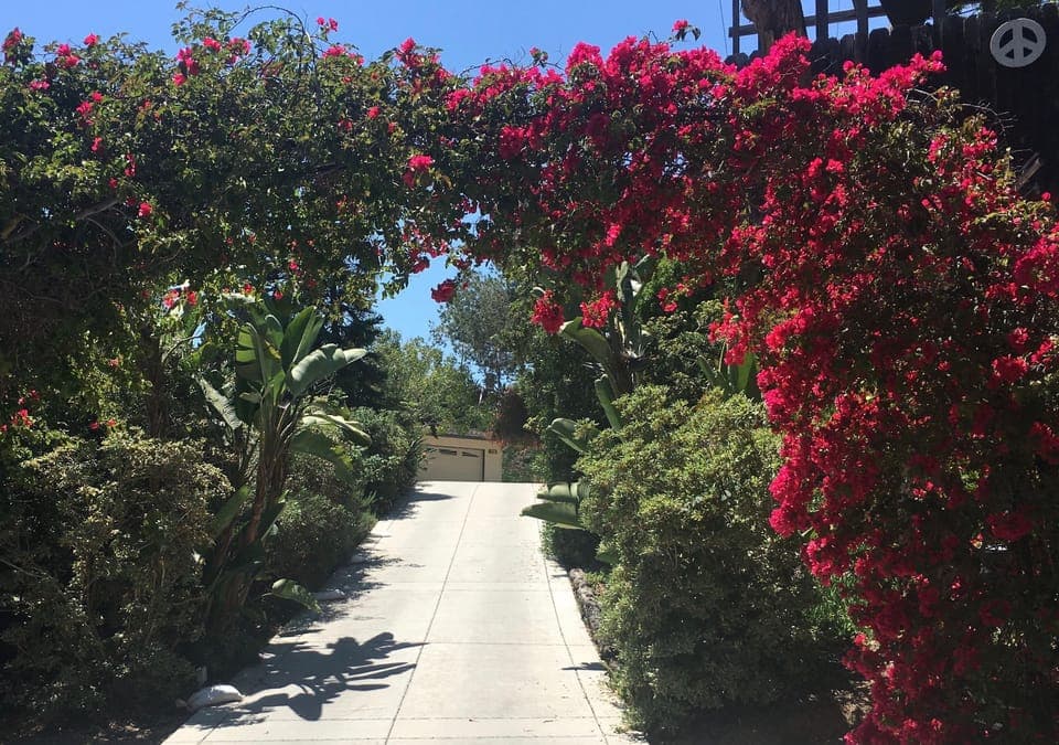 Carlsbad Beauty - Your destination!