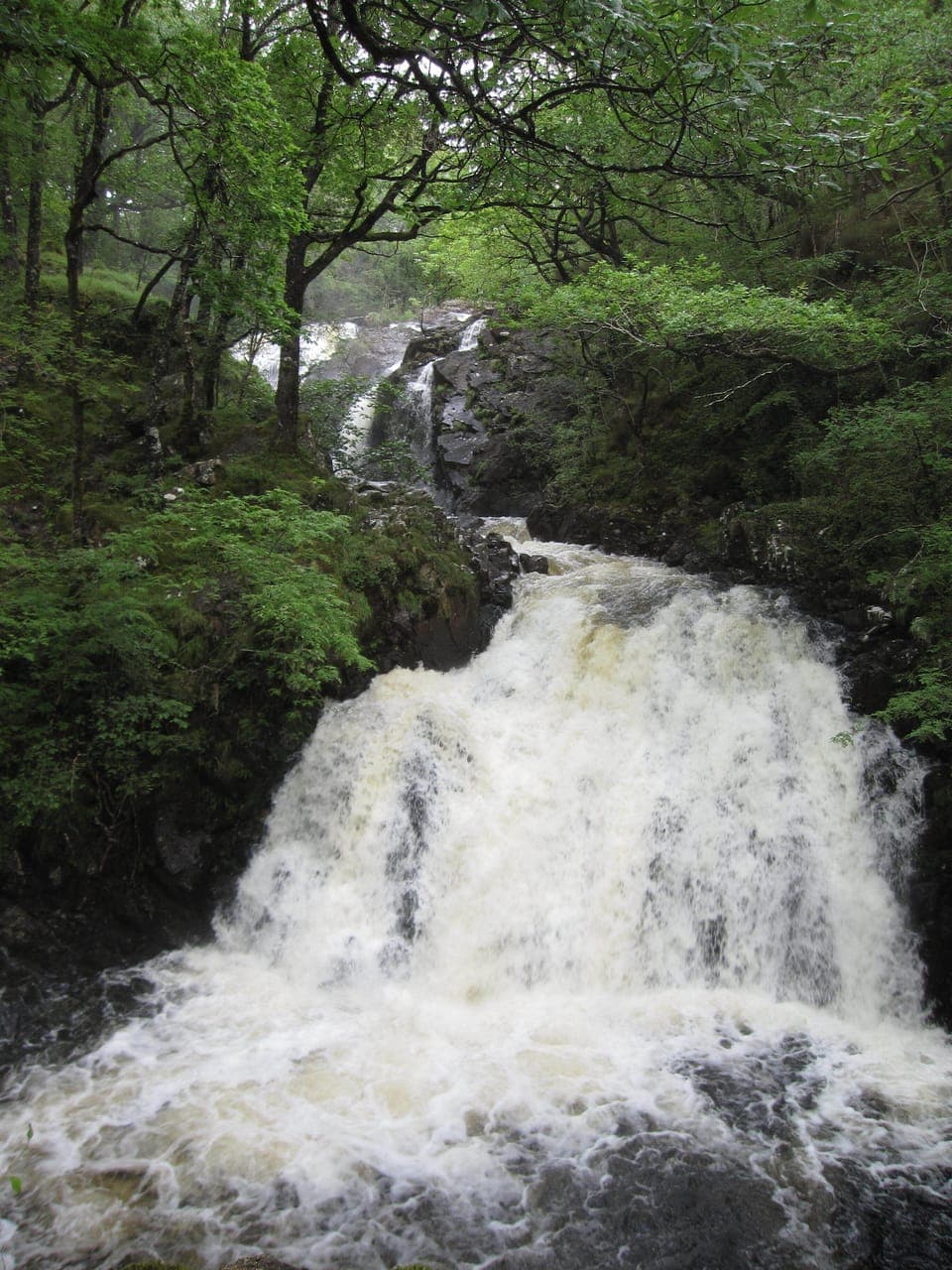 Ganllwyd Waterfall - 15 mins drive East from Cottage 