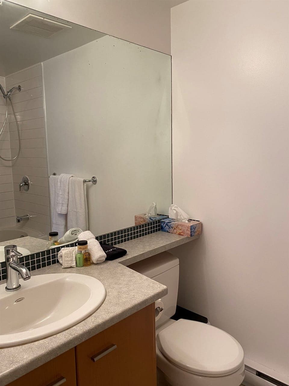 Master Bath with shower/tub combination 