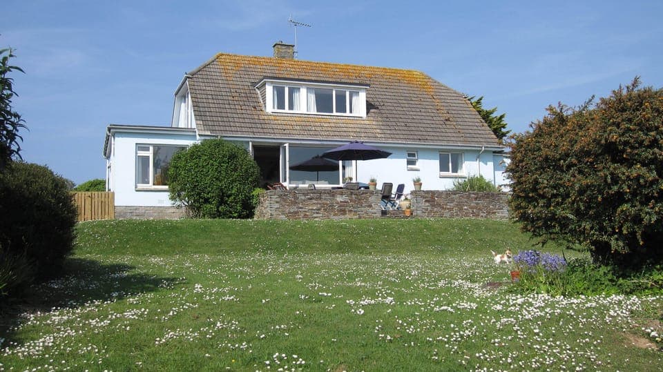 The Blue House garden
