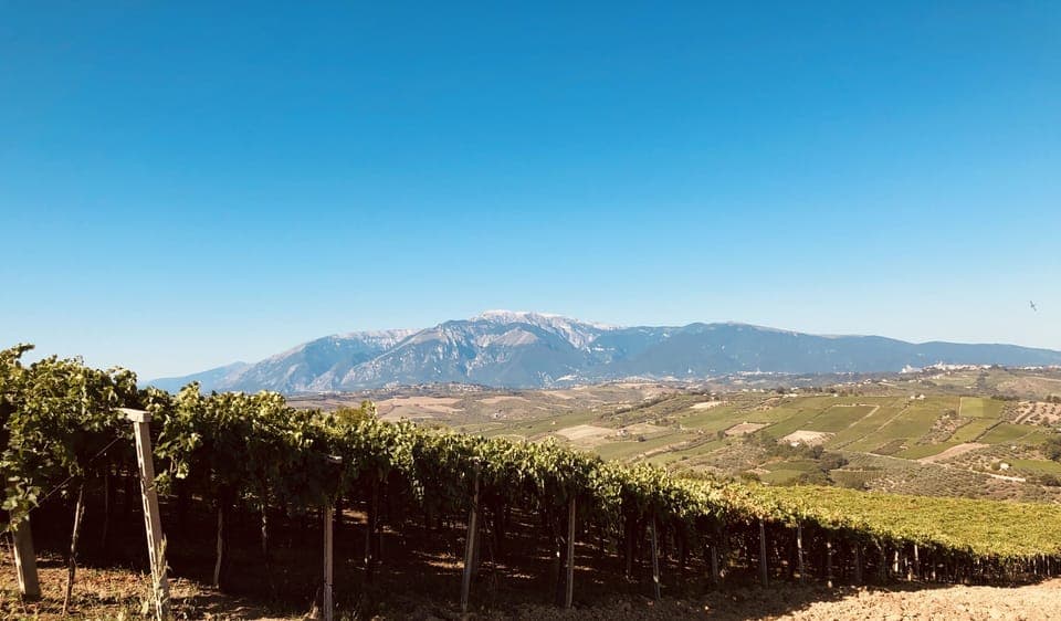 September is vintage time