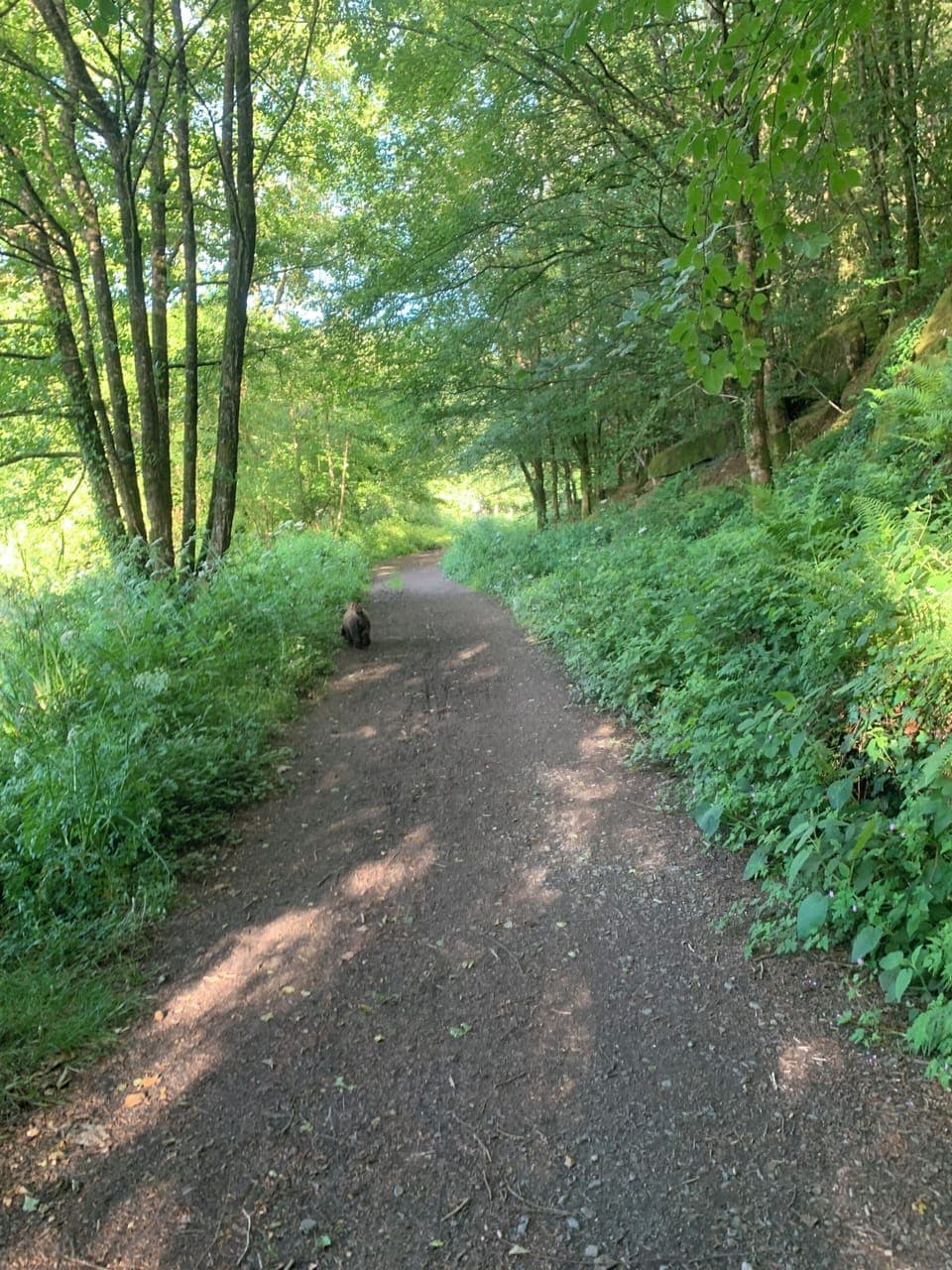 Beautiful, quiet and tranquil country walks 