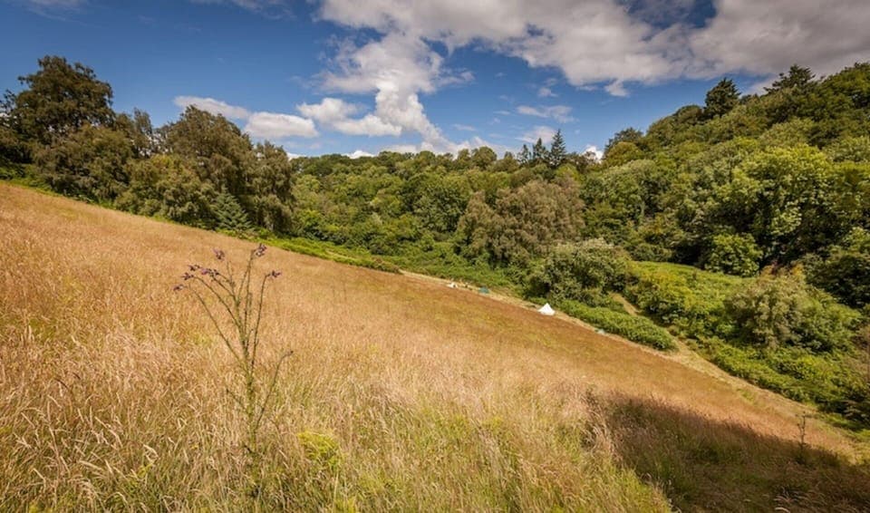 We have 20 acres of beautiful land to walk around.