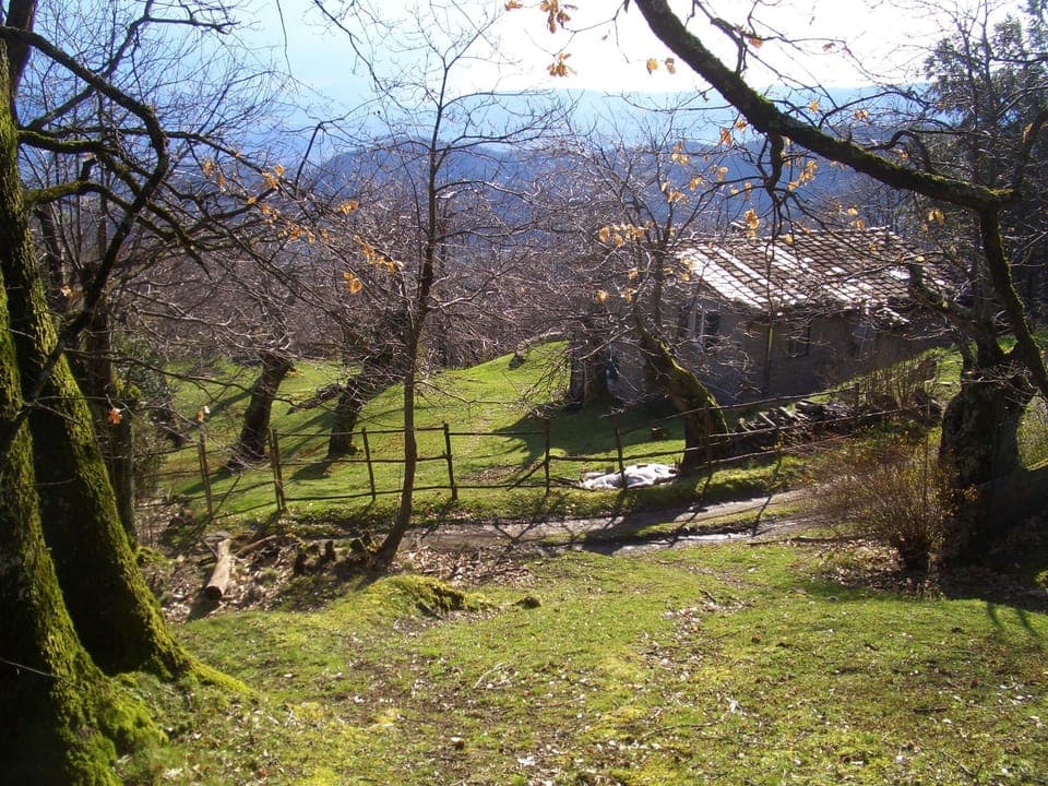 OUr house, 50m down the hill from La Rocchina