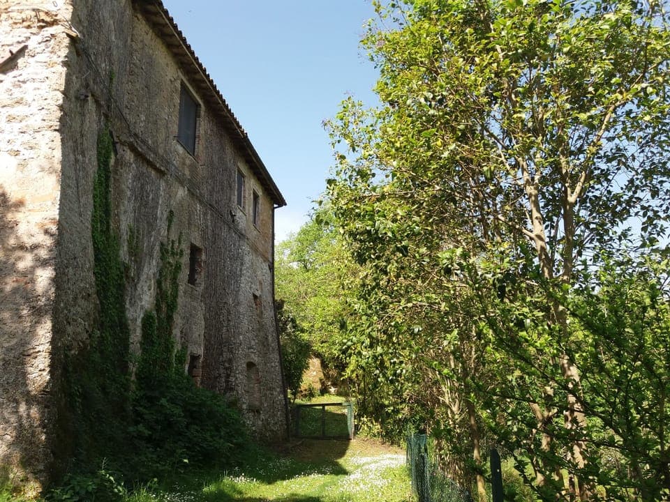 the house from the garden dated 1300