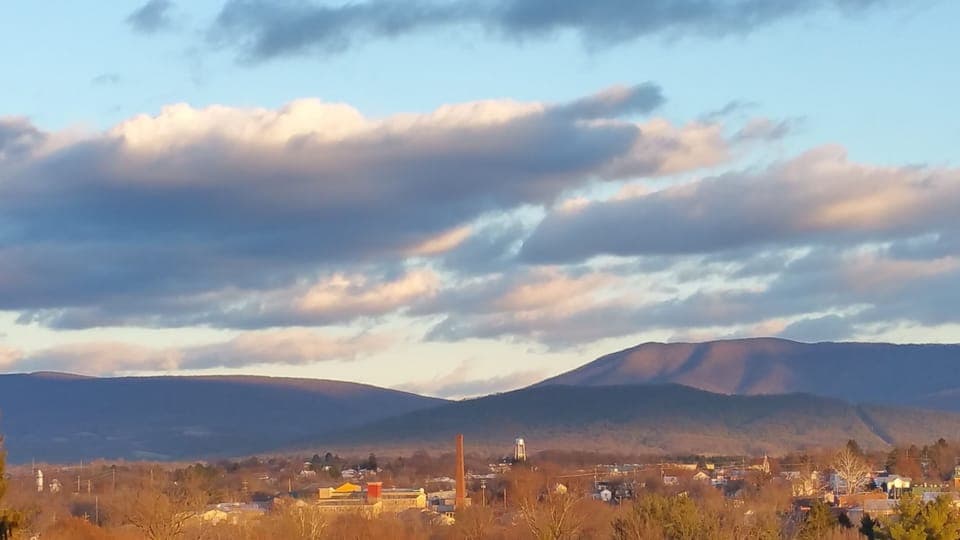 View from Cottage