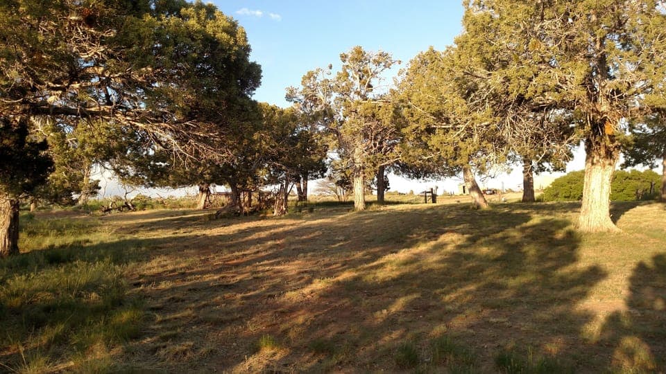 Property views