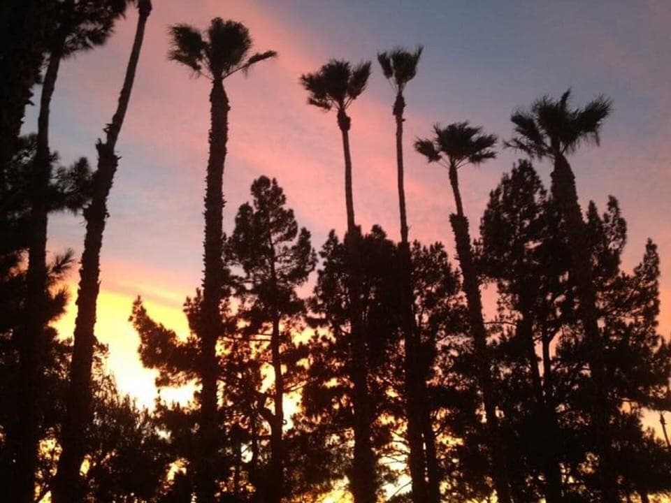 Beautiful sunsets in Palm Springs!