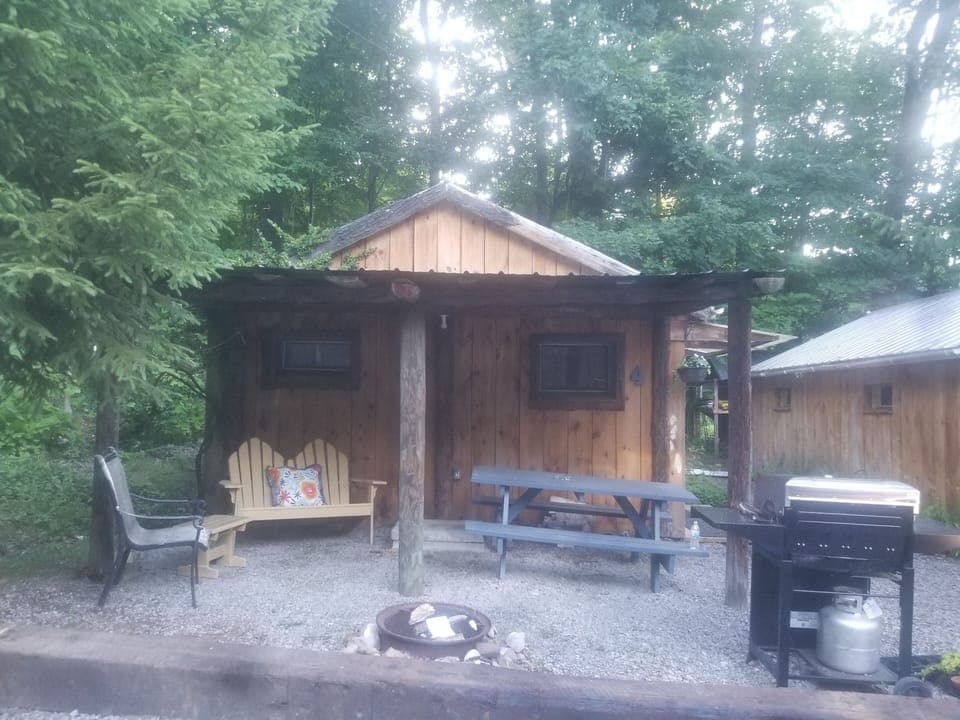 Cabin 4