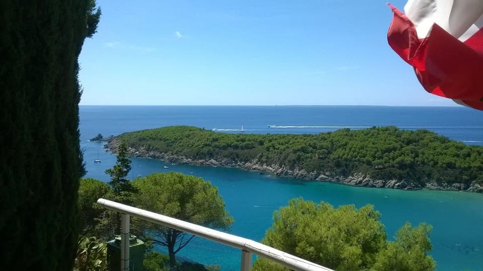 front view from the house 