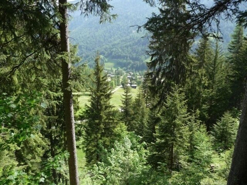 View from nearby hill