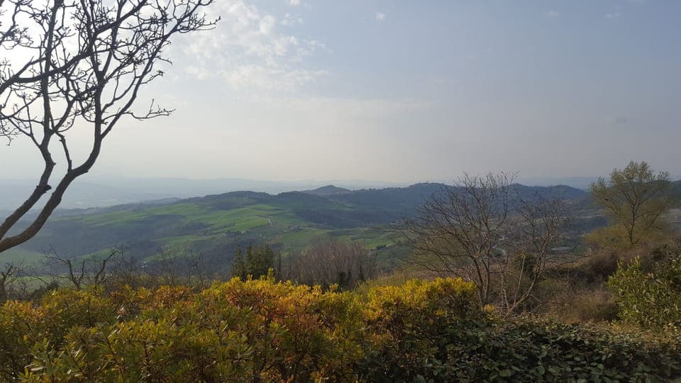 View from Dinning room erracet