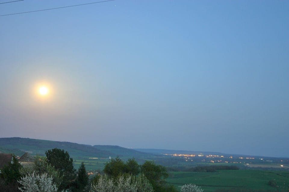 View from the garden