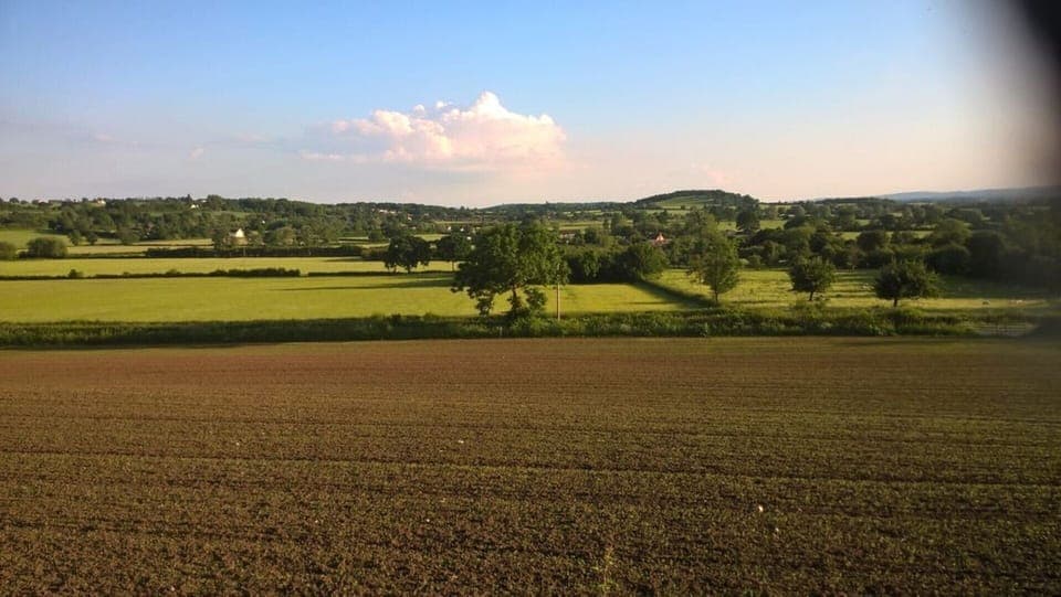 Fields in the surrounding area.
