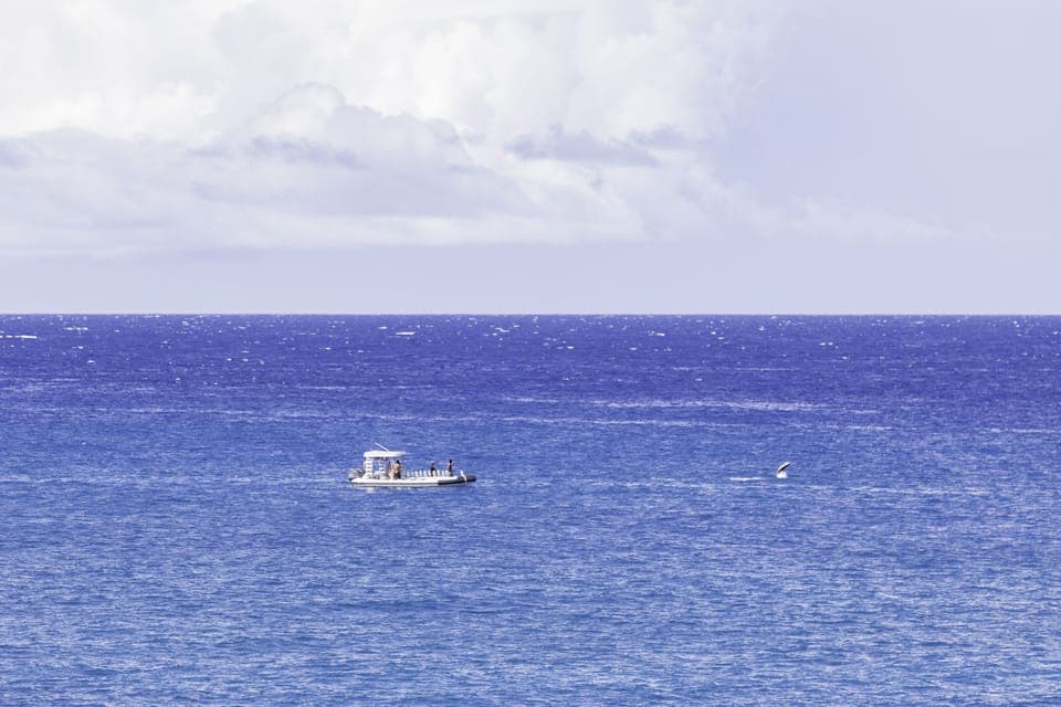 Enjoy a day on a dive boat, snorkeling or watching whales or catching fish...or enjoy watching the boats go by right from your lanai.