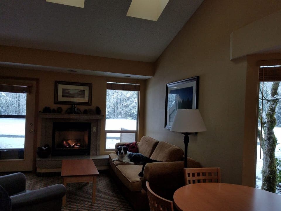 Cozy living area with lots of light