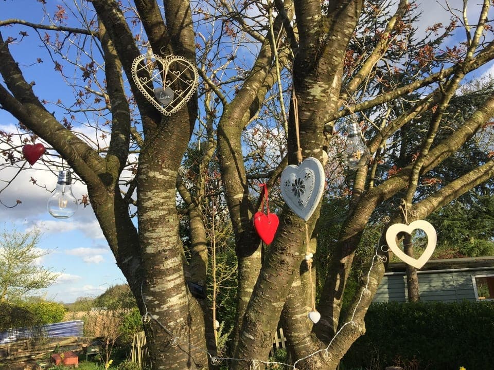 Gigi's heart tree