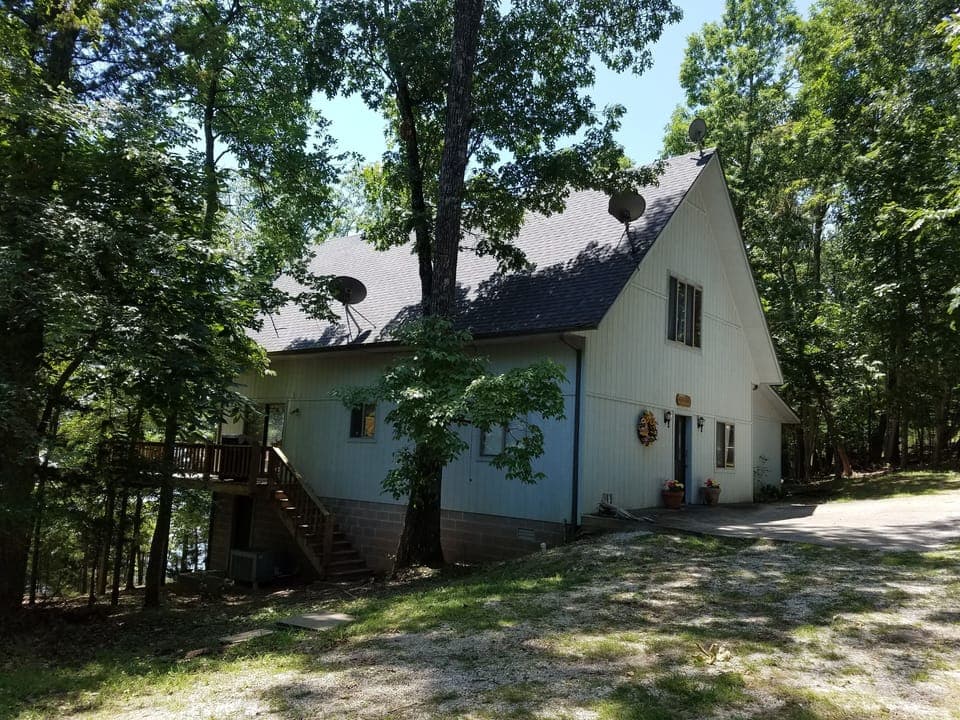 Secluded Setting with Lots of Deer