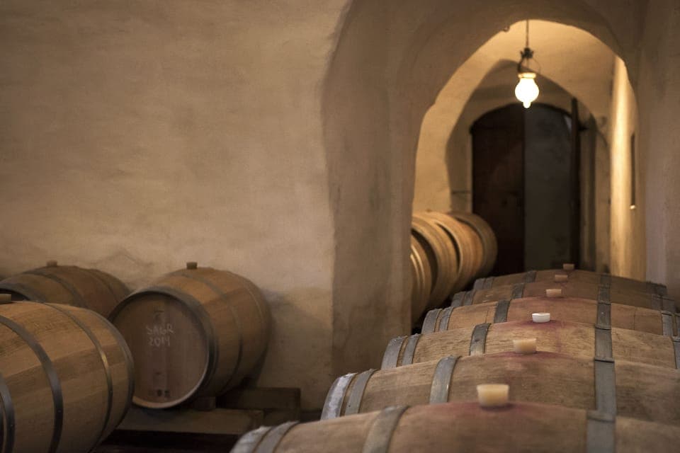 Oldest part of the wine cellar under Castello di Montegiove