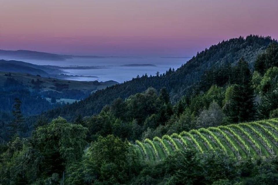 Explore Sonoma's coast line