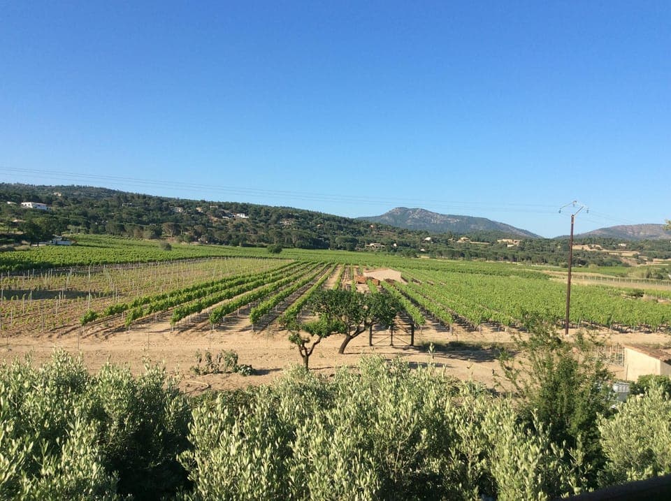 Uninterrupted view over the vines from the front balcony