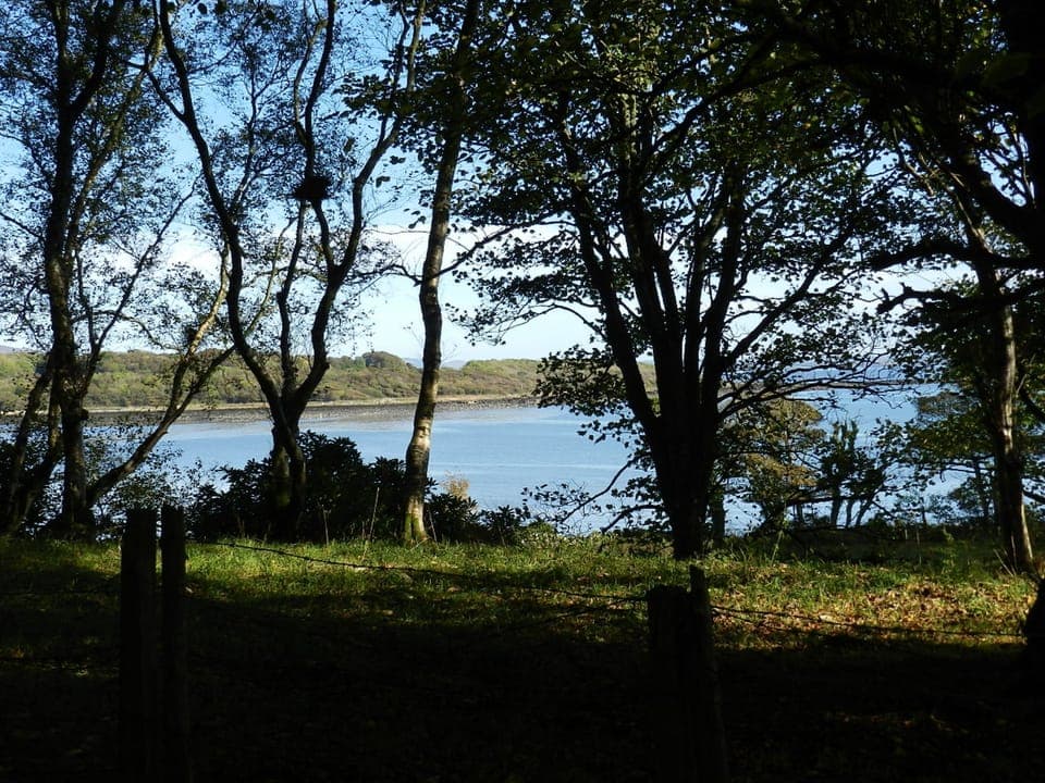 View of Bay from Garden