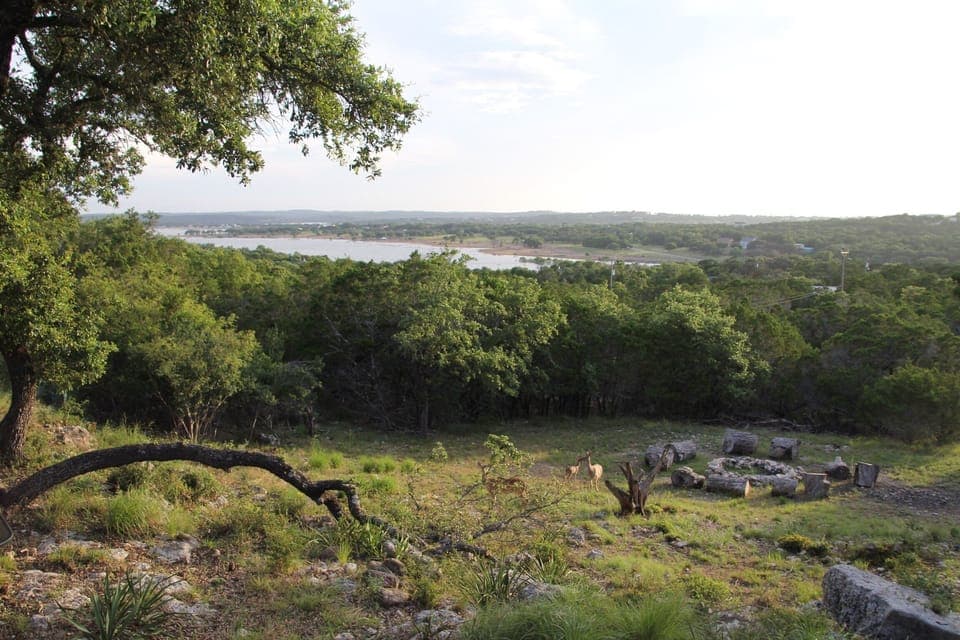 View of the Lake and Hill Country