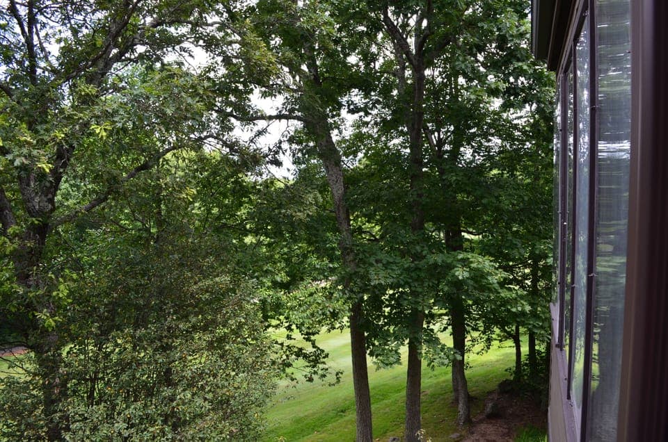 View form the deck.