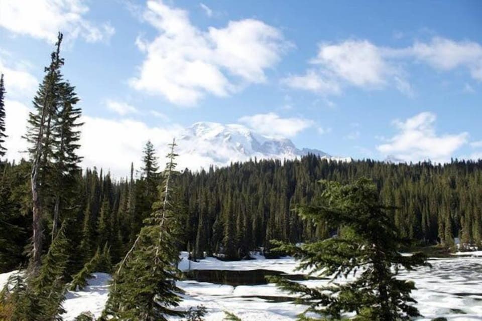 Mt. Rainier