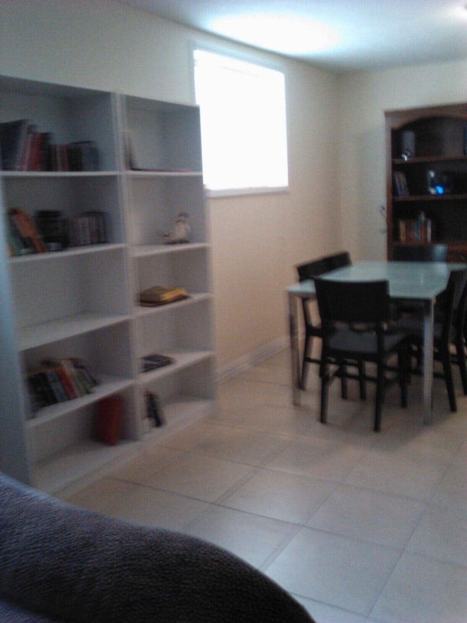 Chill Room - Book Cases and Table - a little blurry