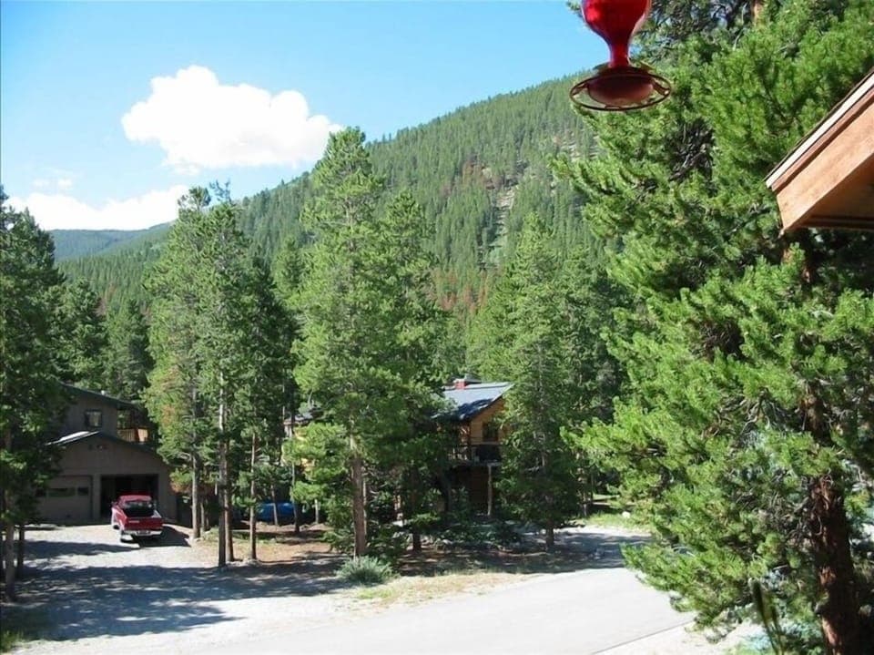 View From Deck