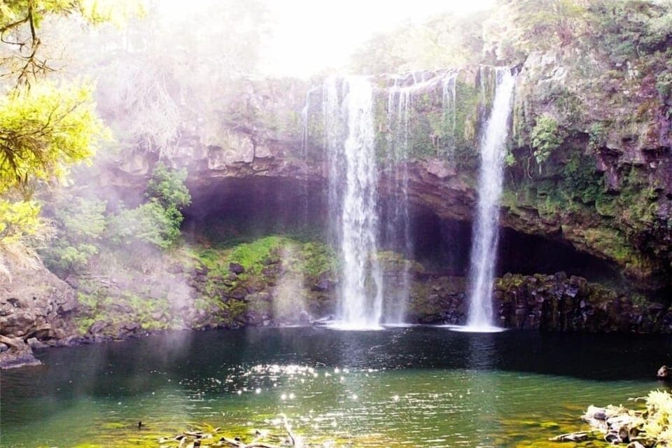 Rainbow Falls, Kerikeri