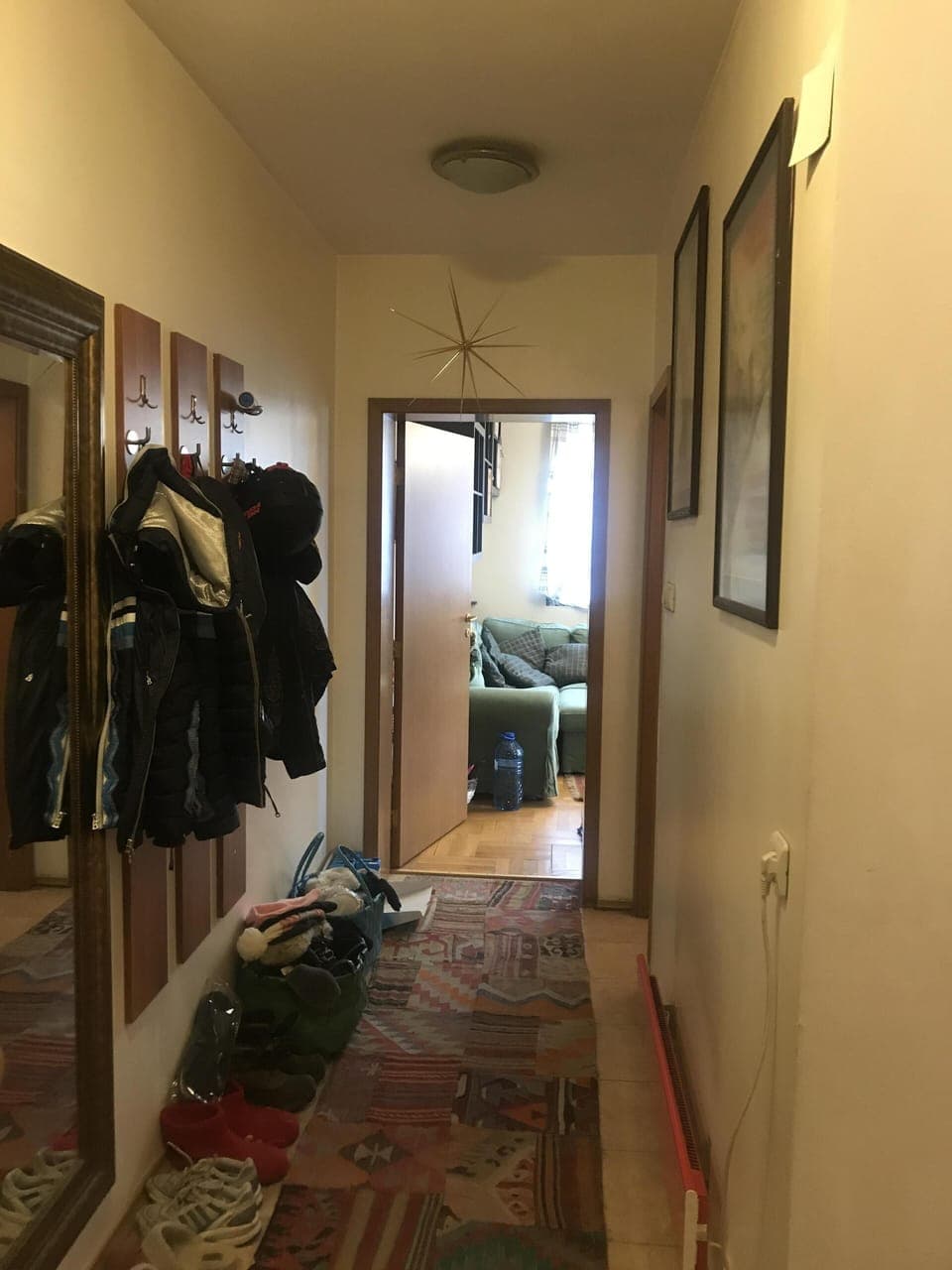 Entrance hallway leading to living room / kitchen. Toilet on right.