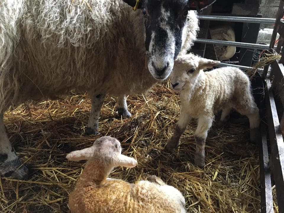 we love this time of year!