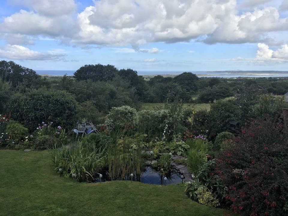View from Hafod Boeth