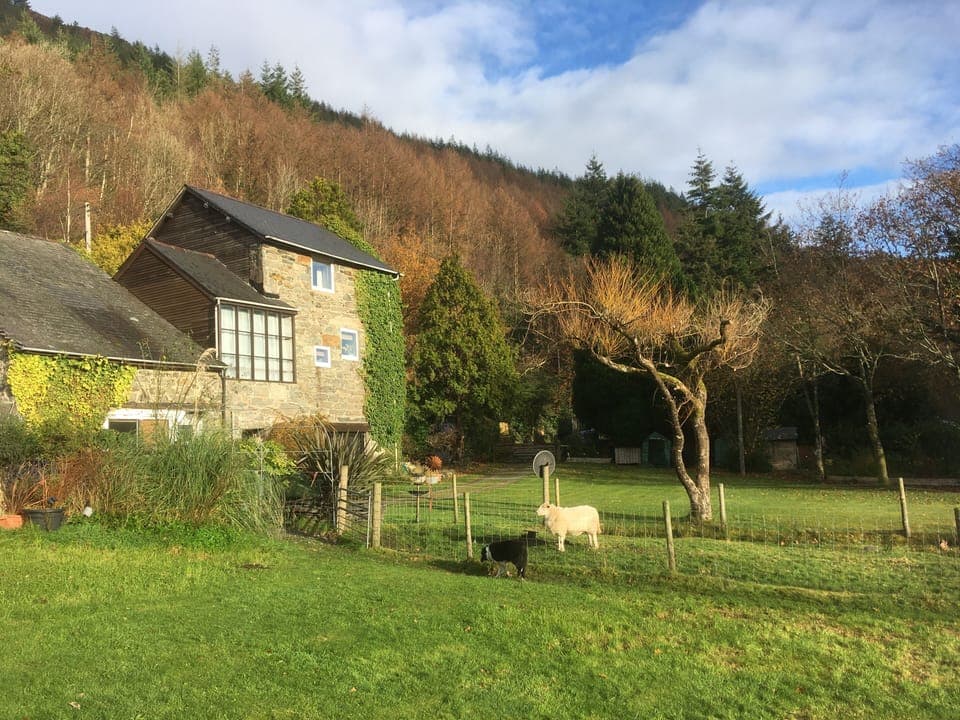 Swn y Nant looking over the garden