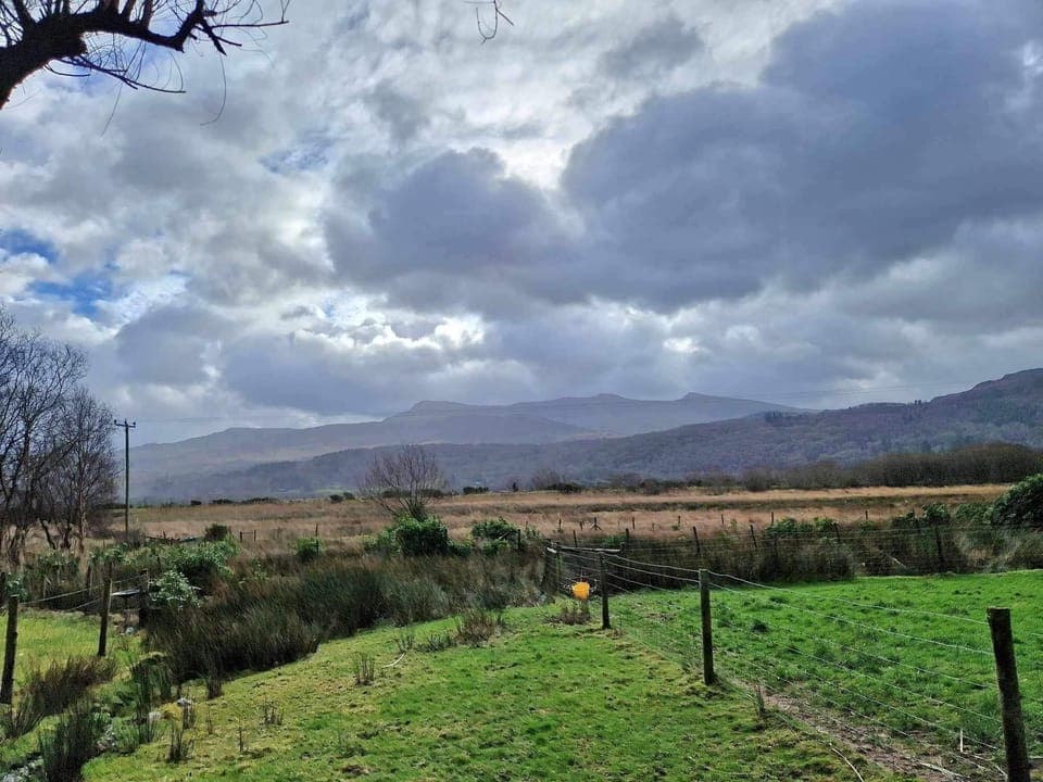 Views from the garden