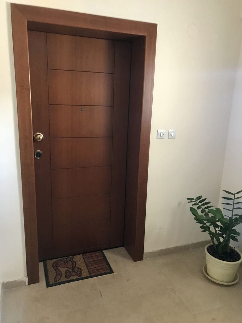 Entrance door 