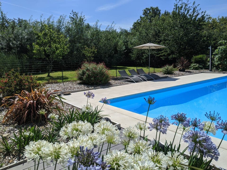 Fancy a refreshing dip?